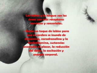 Los labios y la lengua son las áreas con más receptores nerviosos y sensoriales. - Basta un toque de labios para que el cerebro se inunde de dopamina, noradrenalina y la feniletilamina, sustancias asociadas al placer, la reducción del dolor, la excitación y energía corporal.  