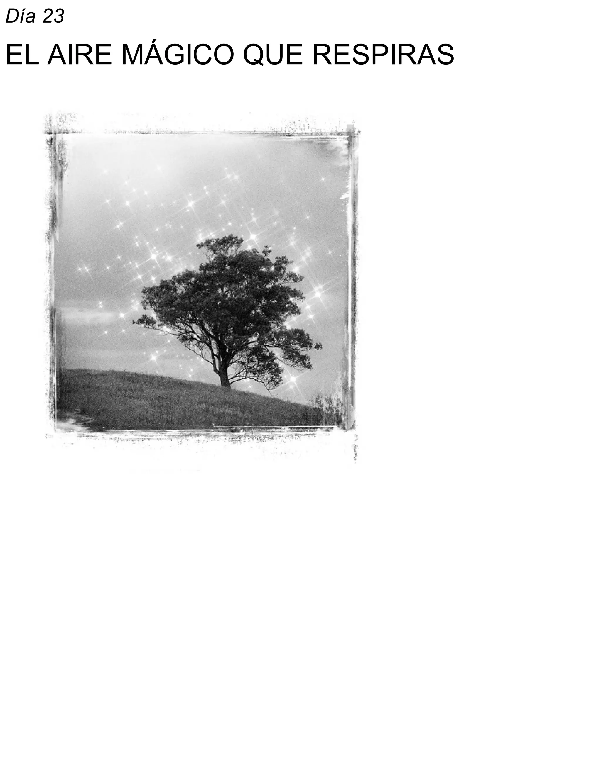 Día 23
EL AIRE MÁGICO QUE RESPIRAS
 