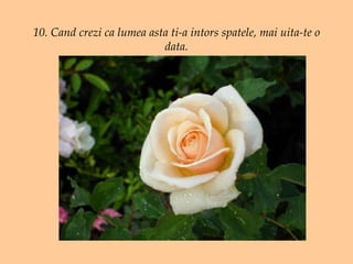 10. Cand crezi ca lumea asta ti-a intors spatele, mai uita-te o data. 