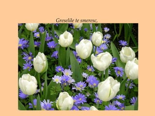 Greselile te smeresc,  