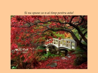 Si nu spune ca n-ai timp pentru asta! 