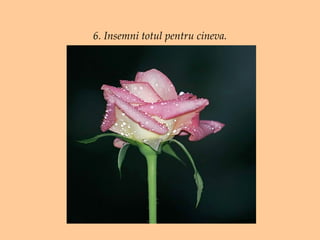 6. Insemni totul pentru cineva. 