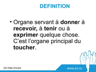 DEFINITION

      • Organe servant à donner à
        recevoir, à tenir ou à
        exprimer quelque chose.
        C’est l’organe principal du
        toucher.


JCI Côte d’Ivoire            www.jci.cc
 