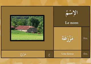 ‫ْم‬ ِ
               ُ ‫الس‬
              Le nom



            ‫مزرعة‬
             َََْ       fém.




‫مزارع‬   ‫ج‬   Une ferme   fém.
 