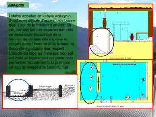 l’étable appelée en kabyle addaynin.
Sombre et difficile d’accès, plus basse
que le sol de la maison d’environ 50
cm, car elle fait des espaces naturels,
où se déroule les activité de la
femme, de ce faite elle exprime le
rapport entre l’homme et la femme, et
donc elle symbolise leur respect.
L’étable où loge les animaux. son sol
est dallé et légèrement en pente pour
permettre l’écoulement du purin par
un trou aménagé à la base du mur.
Addaynin
 