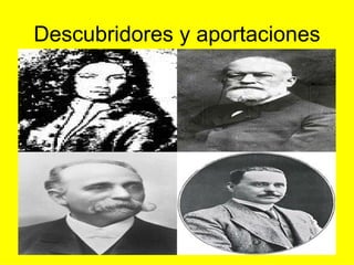Descubridores y aportaciones 
