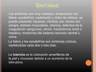 SÍNTOMAS
   Los síntomas son muy variados, empezando con
    fiebre, escalofríos, sudoración y dolor de cabeza, se
    puede presentar náuseas, vómitos, tos, heces con
    sangre, dolores musculares, ictericia, defectos de la
    coagulación sanguínea, shock, insuficiencia renal o
    hepática, trastornos del sistema nervioso central y
    coma.
    La fiebre y los escalofríos son síntomas cíclicos,
    repitiéndose cada dos o tres días.

    La ictericia es la coloración amarillenta de
    la piel y mucosas debida a un aumento de la
    bilirrubina.
 