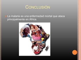 CONCLUSIÓN
   La malaria es una enfermedad mortal que ataca
    principalmente en África.
 