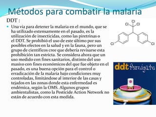 Métodos para combatir la malaria
DDT :
 Una vía para detener la malaria en el mundo, que se
ha utilizado extensamente en el pasado, es la
utilización de insecticidas, como las piretrinas o
el DDT. Se prohibió el uso de este último por sus
posibles efectos en la salud y en la fauna, pero un
grupo de científicos cree que debería revisarse esta
prohibición tan estricta. Se considera ahora que un
uso medido con fines sanitarios, distinto del uso
masivo con fines económicos del que fue objeto en el
pasado, es una buena opción para el control o
erradicación de la malaria bajo condiciones muy
controladas, limitándose al interior de las casas y
tejados en las zonas donde esta enfermedad es
endémica, según la OMS. Algunos grupos
ambientalistas, como la Pesticide Action Network no
están de acuerdo con esta medida.
 