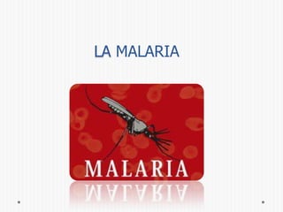 LA MALARIA

 