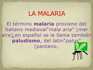 LA MALARIA El término malaria proviene del italiano mediaval"mala aria" (mar aire),en español se le llama también paludismo, del latin"palus" (pantano).  