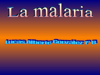 La malaria Lucas Alberte González 1º B 