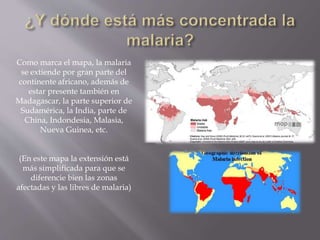 Como marca el mapa, la malaria
se extiende por gran parte del
continente africano, además de
estar presente también en
Madagascar, la parte superior de
Sudamérica, la India, parte de
China, Indondesia, Malasia,
Nueva Guinea, etc.
(En este mapa la extensión está
más simplificada para que se
diferencie bien las zonas
afectadas y las libres de malaria)
 