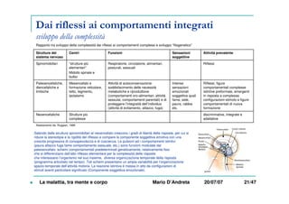 Dai riflessi ai comportamenti integrati
sviluppo della complessità
Rapporto tra sviluppo della complessità dai riflessi ai comportamenti complessi e sviluppo “filogenetico”
La malattia, tra mente e corpo Mario D’Andreta 20/07/07 21/47
Intense
sensazioni
emozionali
soggettive quali
fame, sete,
paura, rabbia
etc.
Sensazioni
soggettive
Attività di autoconservazione:
soddisfacimento delle necessità
metaboliche e riproduttiove
(comportamenti oro-alimentari, attività
sessulai, comportamenti parentali) e di
proteggere l’integraità dell’individuo
(attività di evitamento, attacco, fuga)
Respiratorie, circolatorie, alimentari,
posturali, sessuali
Funzioni
discriminative, integrate e
adattative
Strutture più
complesse
Neoencefaliche
Riflessi, figure
comportamentali complesse
istintive preformate, emergenti
in risposta a complesse
configurazioni-stimolo e figure
comportamentali di nuova
formazione
Mesencefalo e
formazione reticolare,
tetto, tegmento,
ipotalamo
Paleoencefaliche,
diencefaliche e
limbiche
Riflessi“strutture più
elementari”
Midollo spinale e
bulbo
Spinomidollari
Attività prevalenteCentriStrutture del
sistema nervoso
Salendo dalle strutture spinomidollari al neoencefalo crescono i gradi di libertà delle risposte, per cui si
riduce la stereotipia e la rigidità del riflesso e compare la componente soggettiva emotiva con una
crescita progressiva di consapevolezza e di coscienza. Le pulsioni ed i comportamenti istintivi
(paura attacco fuga fame comportamento sessuale, etc.) sono funzioni modulate dal
paleoencefalo: schemi comportamentali predeterminati geneticamente, relativamente fissi
che si differenziano dall’atto riflesso elementare per la complessità delle risposte
che interessano l’organismo nel suo insieme, diversa organizzazione temporale della risposta
(programma articolato nel tempo) .Tali schemi presentano un ampia variabilità per l’organizzazione
spazio-temporale dell’attività motoria. La reazione istintiva è messa in atto da configurazioni di
stimoli aventi particolare significato (Componente soggettiva emozionale).
Adattamento da: Ruggieri, 1988
 