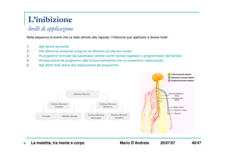 L’inibizione
livelli di applicazione
Nella sequenza di eventi che va dallo stimolo alla risposta, l’inibizione può applicarsi a diversi livelli:
1. Agli stimoli sensoriali
2. Alle afferenze sensoriali (lungo le vie afferenti) ed alla loro sintesi
3. Ai programmi formulati dai pacemaker centrali (centri nervosi regolatori e programmatori dell’attività)
4. All’esecuzione dei programmi (alle funzioni somatiche che ne consentono l’esecuzione)
5. Agli effetti finali dovuti alla realizzazione del programma
La malattia, tra mente e corpo Mario D’Andreta 20/07/07 40/47
 