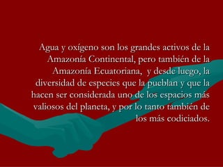Agua y oxígeno son los grandes activos de la Amazonía Continental, pero también de la Amazonía Ecuatoriana,  y desde luego, la diversidad de especies que la pueblan y que la hacen ser considerada uno de los espacios más valiosos del planeta, y por lo tanto también de los más codiciados. 