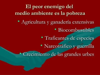 El peor enemigo del  medio ambiente es la pobreza Agricultura y ganadería extensivas Biocombustibles Traficantes de especies Narcotráfico y guerrilla Crecimiento de las grandes urbes 