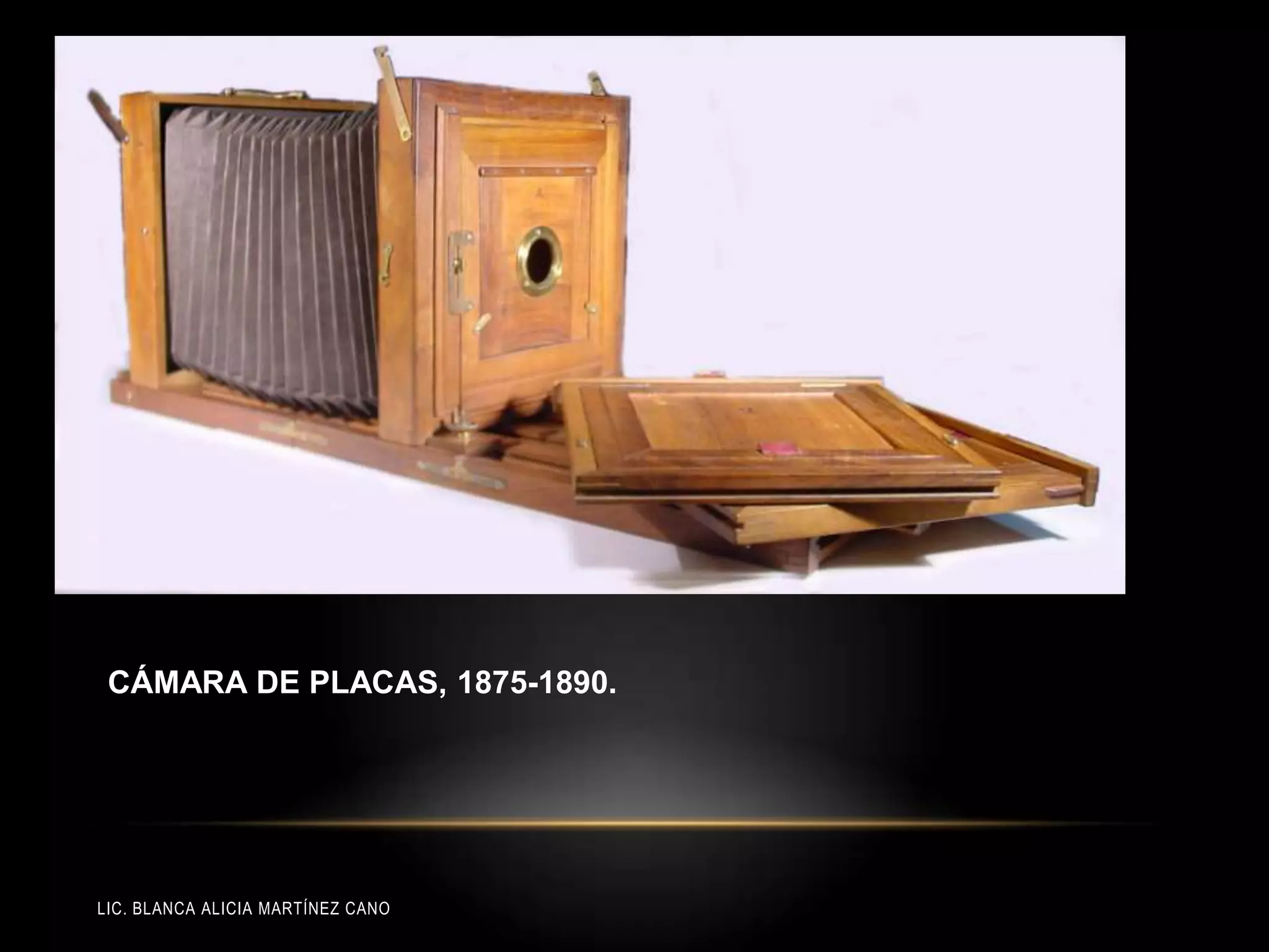 LIC. BLANCA ALICIA MARTÍNEZ CANO
CÁMARA DE PLACAS, 1875-1890.
 