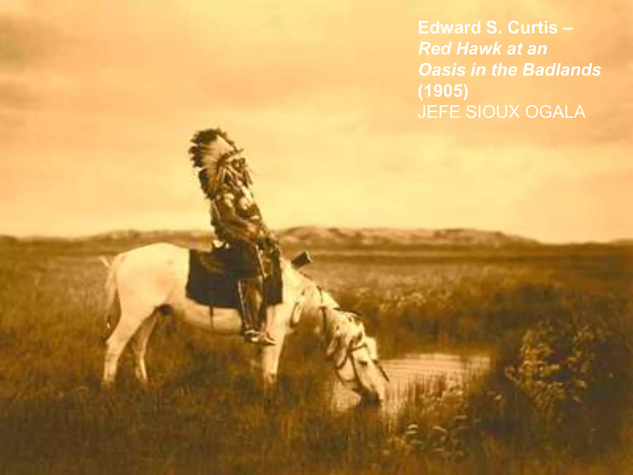 LIC. BLANCA ALICIA MARTÍNEZ CANO
Edward S. Curtis –
Red Hawk at an
Oasis in the Badlands
(1905)
JEFE SIOUX OGALA
 