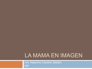 LA MAMA EN IMAGEN
Dra. Alejandra Casados Valadez
MIP
 