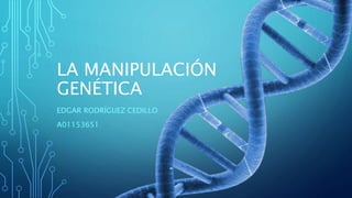 LA MANIPULACIÓN
GENÉTICA
EDGAR RODRÍGUEZ CEDILLO
A01153651
 