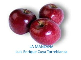 La manzana

LA MANZANA
Luis Enrique Cuya Torreblanca

 