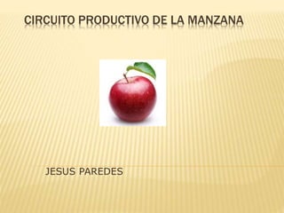 CIRCUITO PRODUCTIVO DE LA MANZANA
JESUS PAREDES
 