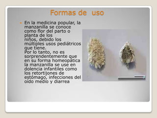 Formas de uso
   En la medicina popular, la
    manzanilla se conoce
    como flor del parto o
    planta de los
    niños, debido los
    múltiples usos pediátricos
    que tiene.
    Por lo tanto, no es
    sorprendentemente que
    en su forma homeopática
    la manzanilla se use en
    dolencia infantiles como
    los retortijones de
    estómago, infecciones del
    oído medio y diarrea
 