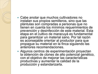 TRATAMIENTO DE SEMILLA