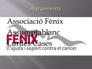 Associació Fènix
Assumptablanc
Lurdes Cases
 
