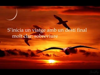 S’inicia un viatge amb un destí final
  molt clar: sobreviure
 