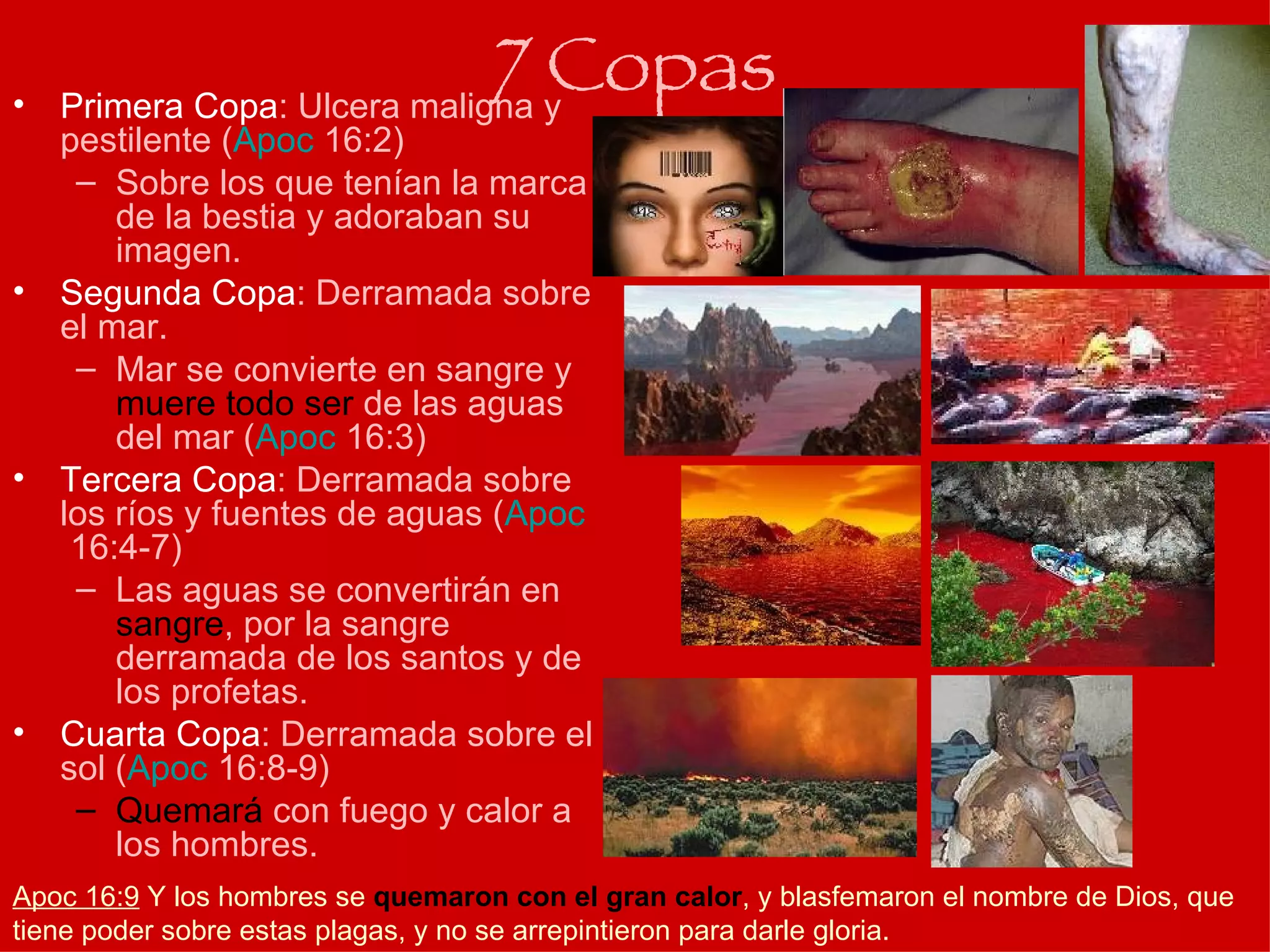 Primera Copa : Ulcera maligna y pestilente ( Apoc  16:2 ) Sobre los que tenían la marca de la bestia y adoraban su imagen. Segunda Copa : Derramada sobre el mar. Mar se convierte en sangre y  muere todo ser  de las aguas del mar ( Apoc  16:3 ) Tercera Copa : Derramada sobre los ríos y fuentes de aguas ( Apoc  16:4-7 ) Las aguas se convertirán en  sangre , por la sangre derramada de los santos y de los profetas. Cuarta Copa : Derramada sobre el sol ( Apoc  16:8-9 ) Quemará  con fuego y calor a los hombres. 7 Copas Apoc 16:9  Y los hombres se  quemaron con el gran calor , y blasfemaron el nombre de Dios, que tiene poder sobre estas plagas, y no se arrepintieron para darle gloria.  