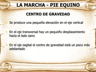 LA MARCHA - PIE EQUINO
               CENTRO DE GRAVEDAD

• Se produce una pequeña elevación en el eje vertical

• En el eje transversal hay un pequeño desplazamiento
  hacia el lado sano

• En el eje sagital el centro de gravedad está un poco más
  adelantado
 