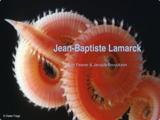 Jean-Baptiste Lamarck Erin Feaver & Jacquie Brouckxon 