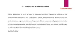 ❑ Inheritance of acquired characters
All the acquisitions or losses wrought by nature on individuals, through the influence of the
environment in which their race has long been placed, and hence through the influence of the
predominant use or permanent disuse of any organ; all these are preserved by reproduction to the
new individuals which arise, provided that the acquired modifications are common to both sexes,
or at least to the individuals which produce the young
Ex. Giraffe, Kiwi
Sandip Rathod
 