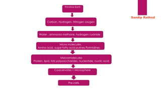 Primitive Earth
Carbon, Hydrogen, Nitrogen oxygen
Water , ammonia methane, hydrogen cyanide
Micro molecules
Amino acid, sugar fatty acid purines Pyrimidines
Macromolecules
Protein, lipid, fats polysaccharides, nucleotide, nuclic acid
Coacervates + Microsphere
Pre-cells
Sandip Rathod
 