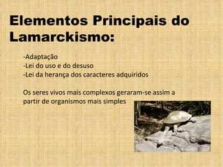 Elementos Principais do Lamarckismo: -Adaptação -Lei do uso e do desuso -Lei da herança dos caracteres adquiridos Os seres vivos mais complexos geraram-se assim a partir de organismos mais simples 