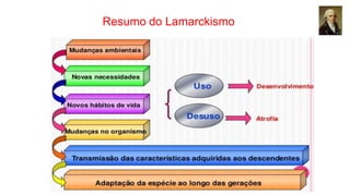 Resumo do Lamarckismo
 