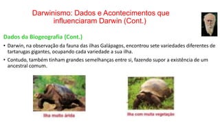 Darwinismo: Dados e Acontecimentos que
influenciaram Darwin (Cont.)
Dados da Biogeografia (Cont.)
• Darwin, na observação da fauna das ilhas Galápagos, encontrou sete variedades diferentes de
tartarugas gigantes, ocupando cada variedade a sua ilha.
• Contudo, também tinham grandes semelhanças entre si, fazendo supor a existência de um
ancestral comum.
 