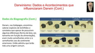 Darwinismo: Dados e Acontecimentos que
influenciaram Darwin (Cont.)
Dados da Biogeografia (Cont.)
Darwin, nas Galápagos, encontrou
catorze espécies de tentilhões e
constatou que apesar de possuírem
algumas diferenças (forma do bico, cor,
tamanho em função da alimentação),
eram muito semelhantes entre si e
semelhantes aos do continente
americano. Então admitiu que terão
tido uma origem comum.
 