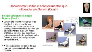 Darwinismo: Dados e Acontecimentos que
influenciaram Darwin (Cont.)
Seleção Artificial e Seleção
Natural (Cont.)
• Darwin era columbófilo (criador de
pombos) e, através desta sua
atividade, percebeu que se pode
obter grande diversidade de seres por
seleção artificial e, de um modo
análogo, é possível que ocorra na
natureza uma seleção, realizada pelos
fatores ambientais, designada por
seleção natural.
• A seleção natural é o conceito que
marca a teoria evolucionista de
Darwin.
 