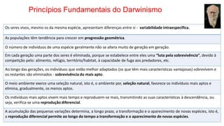 Princípios Fundamentais do Darwinismo
Os seres vivos, mesmo os da mesma espécie, apresentam diferenças entre si - variabilidade intraespecífica.
As populações têm tendência para crescer em progressão geométrica.
O número de indivíduos de uma espécie geralmente não se altera muito de geração em geração.
Em cada geração uma parte dos seres é eliminada, porque se estabelece entre eles uma “luta pela sobrevivência”, devido à
competição pelo: alimento, refúgio, território/habitat, à capacidade de fuga aos predadores, etc.
Ao longo das gerações, os indivíduos que estão melhor adaptados (os que têm mais características vantajosas) sobrevivem e
os restantes são eliminados - sobrevivência do mais apto.
O meio ambiente exerce uma seleção natural, isto é, o ambiente por, seleção natural, favorece os indivíduos mais aptos e
elimina, gradualmente, os menos aptos.
Os indivíduos mais aptos vivem mais tempo e reproduzem-se mais, transmitindo as suas características à descendência, ou
seja, verifica-se uma reprodução diferencial.
A acumulação das pequenas variações determina, a longo prazo, a transformação e o aparecimento de novas espécies, isto é,
a reprodução diferencial permite ao longo do tempo a transformação e o aparecimento de novas espécies.
 