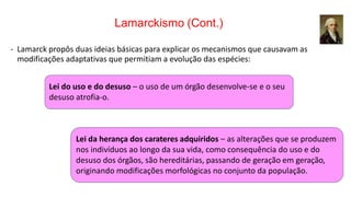 Lamarckismo (Cont.)
- Lamarck propôs duas ideias básicas para explicar os mecanismos que causavam as
modificações adaptativas que permitiam a evolução das espécies:
Lei do uso e do desuso – o uso de um órgão desenvolve-se e o seu
desuso atrofia-o.
Lei da herança dos carateres adquiridos – as alterações que se produzem
nos indivíduos ao longo da sua vida, como consequência do uso e do
desuso dos órgãos, são hereditárias, passando de geração em geração,
originando modificações morfológicas no conjunto da população.
 