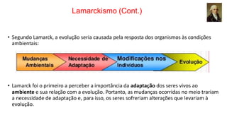 Lamarckismo (Cont.)
• Segundo Lamarck, a evolução seria causada pela resposta dos organismos às condições
ambientais:
• Lamarck foi o primeiro a perceber a importância da adaptação dos seres vivos ao
ambiente e sua relação com a evolução. Portanto, as mudanças ocorridas no meio trariam
a necessidade de adaptação e, para isso, os seres sofreriam alterações que levariam à
evolução.
 