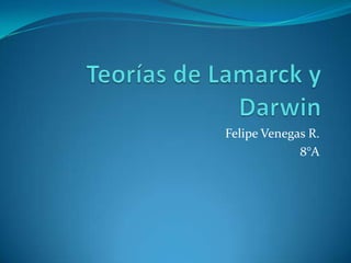 Teorías de Lamarck y Darwin Felipe Venegas R. 8°A 