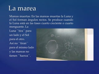 Mareas muertas: En las mareas muertas la Luna y
el Sol forman ángulos rectos. Se produce cuando
la Luna está en las fases cuarto creciente o cuarto
menguante. La
Luna ``tira´´ para
un lado y el Sol
para el otro.
Así no ``tiran´´
para el mismo lado
y las mareas no
tienen ``fuerza´´.
La marea