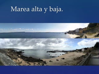 Marea alta y baja.