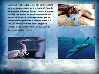 Les deixalles abocades al mar sn perilloses tant  per a les persones com per a la fauna: el vidre de  les ampolles pot causar ferides i la mort d'alguns  animals. Les anelles de plstic que uneixen les  llaunes de refrescos poden ser mortals per als  animals marins perqu se'ls enreden al coll o al  cos. Les xarxes perdudes poden ofegar els  animals.  Molts animals marins s'empassen les bosses de plstic i moren. 