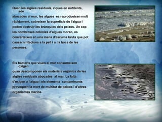 Quan les aiges residuals, riques en nutrients, sn abocades al mar, les algues  es reprodueixen molt  rpidament, cobreixen la superfcie de l'aigua i  poden obstruir les brnquies dels peixos. Un cop les nombroses colnies d'algues moren, es  converteixen en una mena d'escuma bruta que pot  causar irritacions a la pell i a  la boca de les  persones. Els bacteris que viuen al mar consumeixen  oxgen  quan descomponen els materials orgnics de les  aiges residuals abocades  al mar. La falta  d'oxigen a l'aigua i els elements  contaminants  provoquen la mort de multitut de peixos i d'altres  organismes marins. 