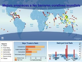 ? Majors amenaces a les barreres coralines mundials  
